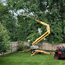 Best Aeration Services  in New Lexington, OH