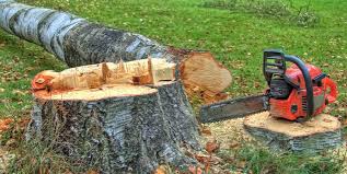 New Lexington, OH Tree Care Company