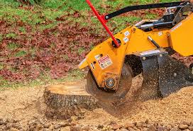 Lawn Renovation and Restoration in New Lexington, OH