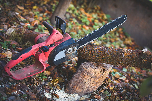 Best Lawn Pest Prevention  in New Lexington, OH